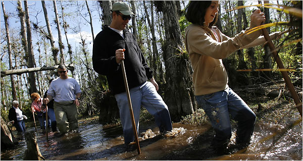 10 Reasons To Visit The Florida Everglades